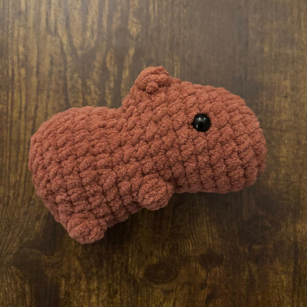 Baby Capybara Baby Capybara