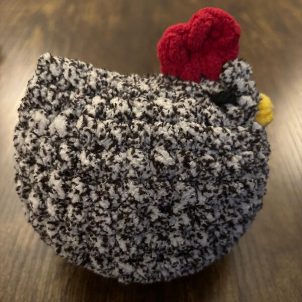 Chicken Chicken